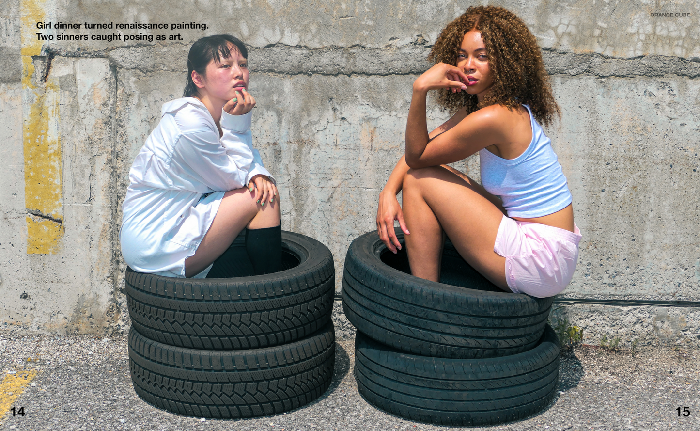 Grey Goose Girl Dinner