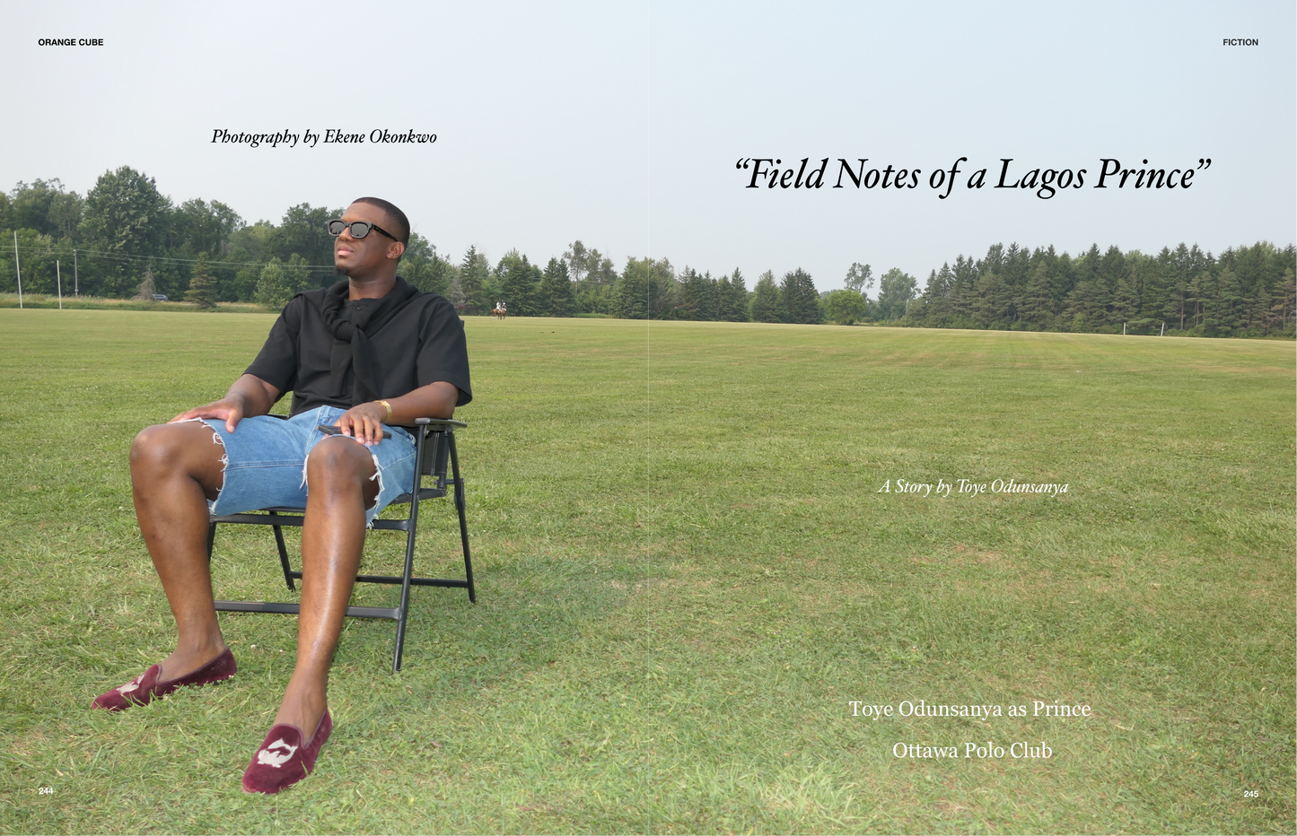 Issue 0.5 - On Sports Iconography